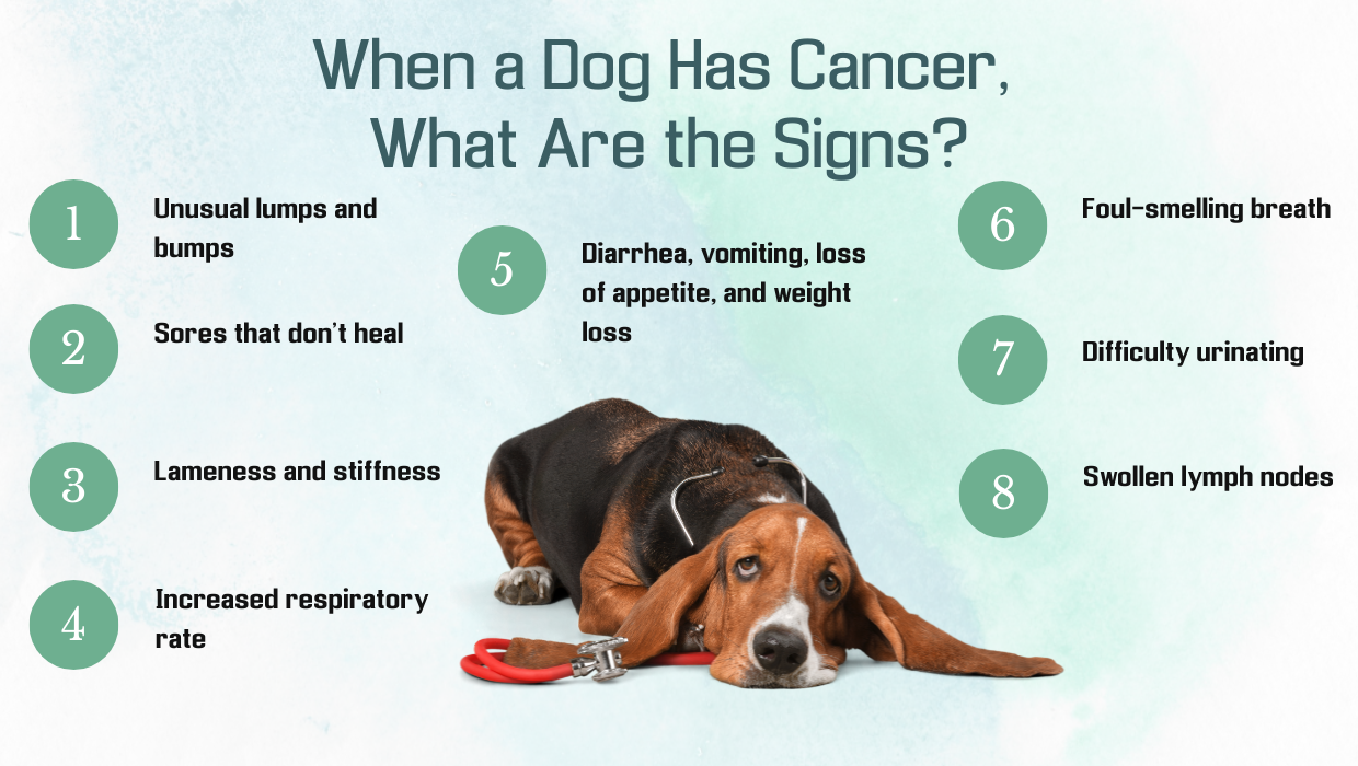 Cancer in Dogs - The Chelsea Foundation