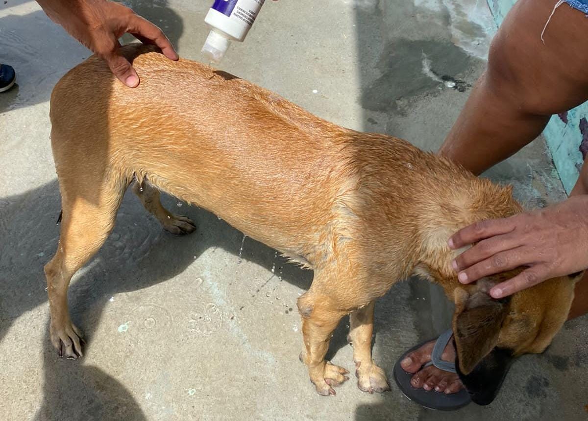 When it is bath time, sometimes it takes two.